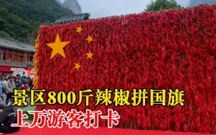 景区800斤辣椒拼国旗上万游客打卡：寓意日子红红火火