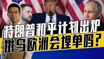 就地停火、不入北约、继续援助，特朗普和平计划能换来和平吗？