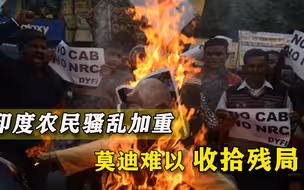 国外势力也掺和！印度“农民起义”越闹越大，莫迪忽悠人终食恶果
