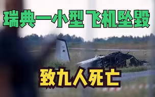 瑞典一小型飞机坠毁致九人死亡