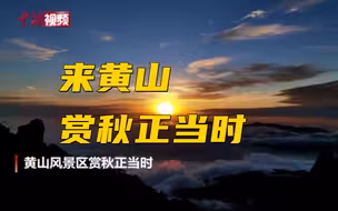 黄山风景区赏秋正当时