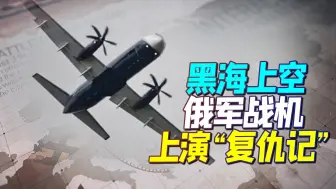 黑海上空，俄战机上演“复仇记”，对频繁来犯的美战机大打出手