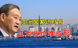 “亚洲版北约”能成形？中国周边国家很清醒，不愿挑战最重要伙伴