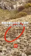 美国夫妻自称拍到