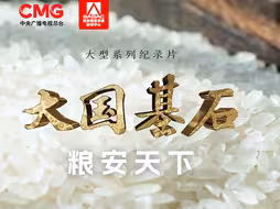 第五集《粮安天下》⚡️粮油产业如何高效运转？