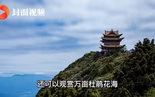 四川峨眉山最高峰万佛顶阔别15年后重新开放 游览攻略来了
