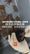 3男子裤裆藏236只鳄龟入境被查  用黑色丝袜包裹 因神色紧张、步态异常被拦截