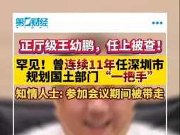 深圳市政协副主席王幼鹏被查，曾连续11年任市规划国土部门“一把手”