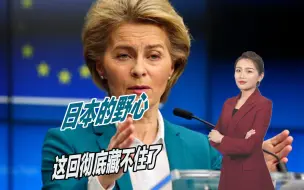 日欧首脑会谈即将举行，日本的野心，这回彻底藏不住了