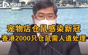 香港新冠病例涉事宠物店仓鼠呈阳性，全港两千只仓鼠需人道处理