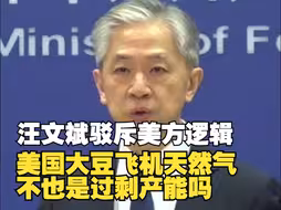 汪文斌驳斥美方逻辑：美国大豆、飞机、天然气不也是过剩产能吗？
