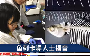 吃鱼不用挑刺了？吃货眼前一亮，华中农业大学教授已找到关键基因