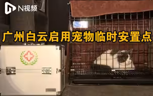 广州白云启用宠物临时安置点：由专人提供核酸检测及日常护理