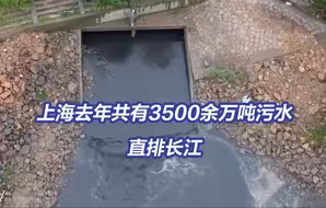 水体黑臭、数据造假！长江流域七省市污水直排被通报