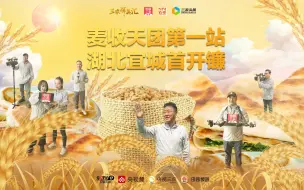 聚焦三农丨2023麦收天团开镰首秀—湖北宜城