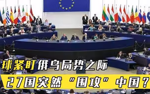 全球紧盯俄乌局势之际，27国突然围攻中国中方早已把话挑明