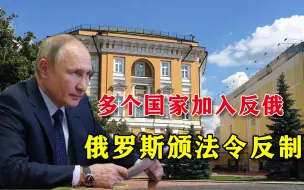 连“声援友邦”都成借口了！反俄国家还在不断加入，克宫变招反击