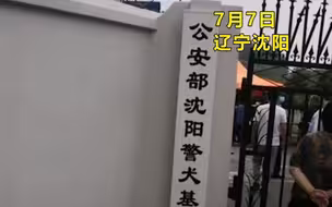 警犬训练基地拍卖警犬 一德牧被拍到30余万 网友:贫穷限制了我的想象