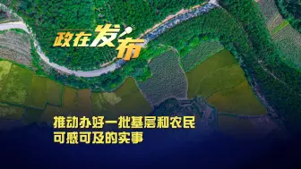 政在发布丨推动办好一批基层和农民可感可及的实事