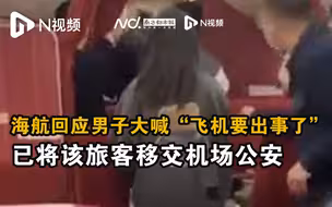 海航回应男子大喊“飞机要出事了”：已将该旅客移交机场公安