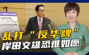 热门首相候选人变支持率第三：岸田文雄靠碰瓷中国拉票行不通