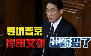 “大刀”，又向俄罗斯“砍”去！为何，岸田文雄专挑普京下手？