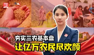 三农锐评丨夯实三农基本盘 让亿万农民尽欢颜
