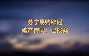 苏宁易购回应破产传闻：谣言，已报案
