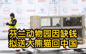 芬兰动物园因缺钱 考虑将两头租借的大熊猫提前送回中国