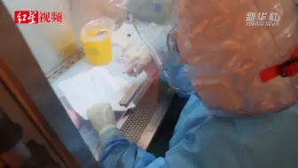 探访绥芬河负压帐篷式移动实验室