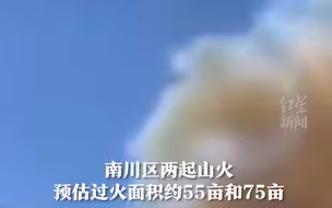 涪陵山火原因初步查明：电线断裂、烧野蜂包引发