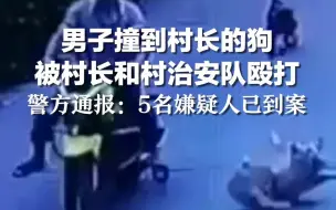 男子撞到村长的狗 被村长和村治安队殴打，警方通报：5名嫌疑人已到案