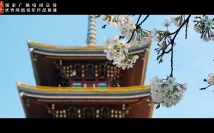 重磅微视频：读书之美
