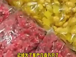 画不完根本画不完~全红婵带火玩具乌龟，工厂负责人：做梦都是顾客在催单。