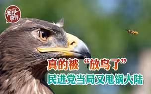 台湾“中华鸟会”被国际鸟盟除名，民进党当局又甩锅大陆