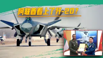 阿联酋看上了歼-20？有钱未必能任性，他可以买歼-31