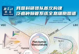 新华社消息｜我国科研团队首次构建泛癌种脉管系统全息细胞图谱