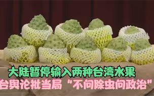 大陆暂停输入两种台湾水果 台舆论批当局“不问除虫问政治”