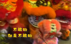 当醒狮遇上“尿布狮”，这画面可太萌啦😄