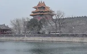 感受北京初春飘雪浪漫！网友镜头记录故宫下雪瞬间