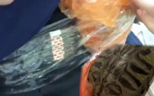 男子“腰缠乌龟”，还演了一出情感大戏