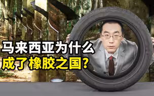 马来西亚是怎么成为橡胶之国的？【懂点儿啥】