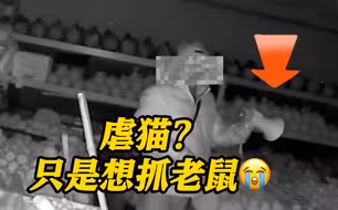 上海一水果店深夜传来猫咪惨叫声疑似虐猫？老板：只是想抓老鼠