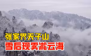 张家界天子山现绝美雾凇云海，山峰林海云雾缭绕美不胜收