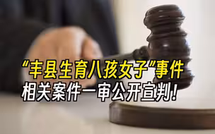 “丰县生育八孩女子”事件，相关案件一审公开宣判！