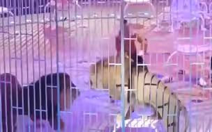 “演员”突然打群架 当时观众害怕极了