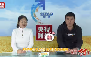养殖小区科学养牛，脱贫致富不发愁！河北北牛栏村村民走上幸福路
