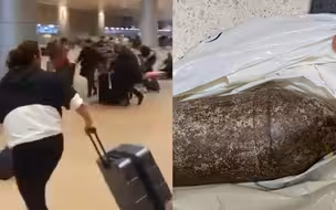 美国游客赴以色列捡炮弹当纪念品带进机场发生恐慌 致1人受伤