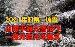 甘肃平凉一夜入冬大雪纷飞，绿植被大雪覆盖白茫茫一片