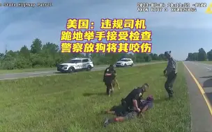 美国：违规司机跪地接受检查 警察放狗将其咬伤